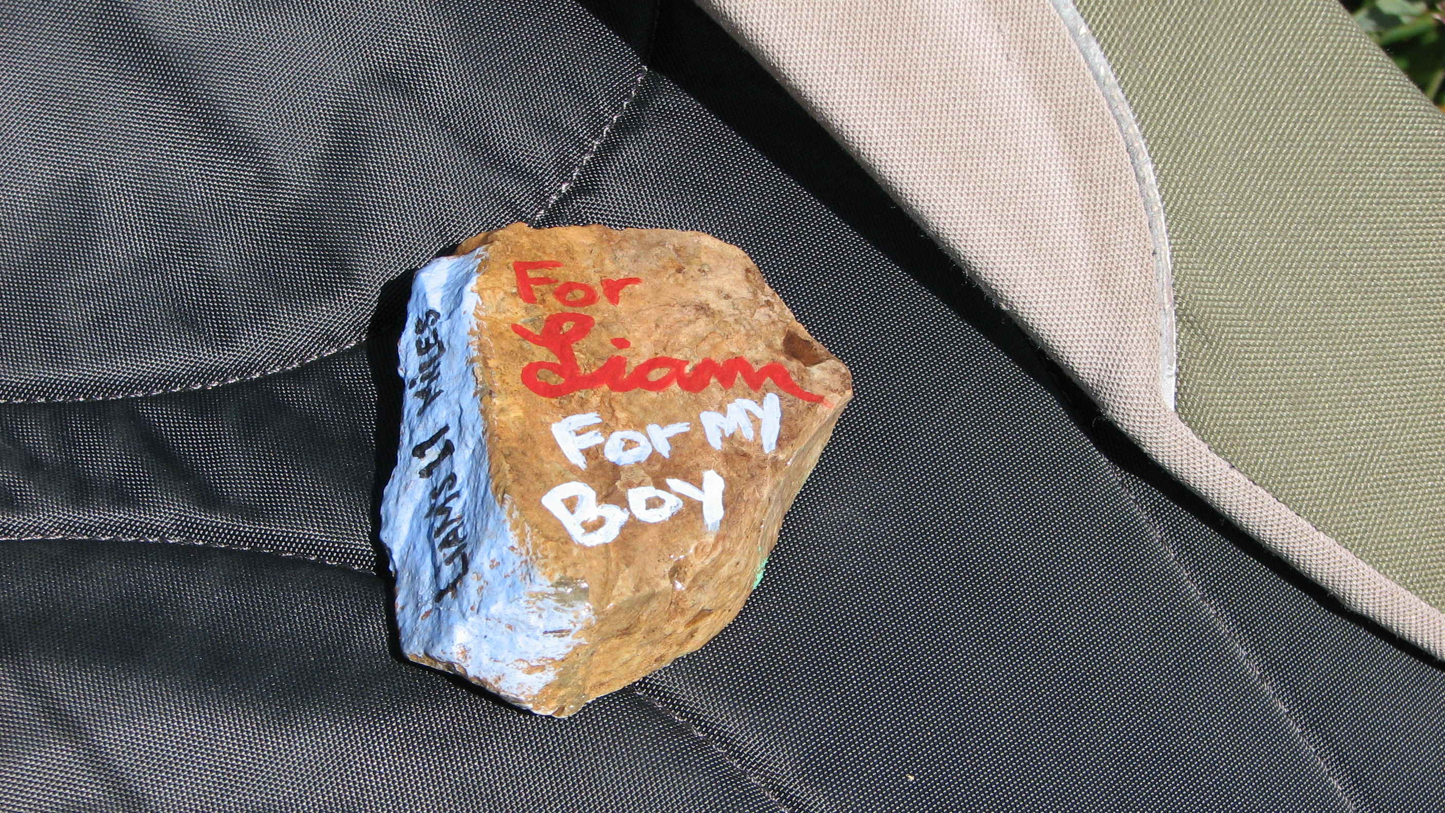 In the cold & rain at Skyline Divide - back