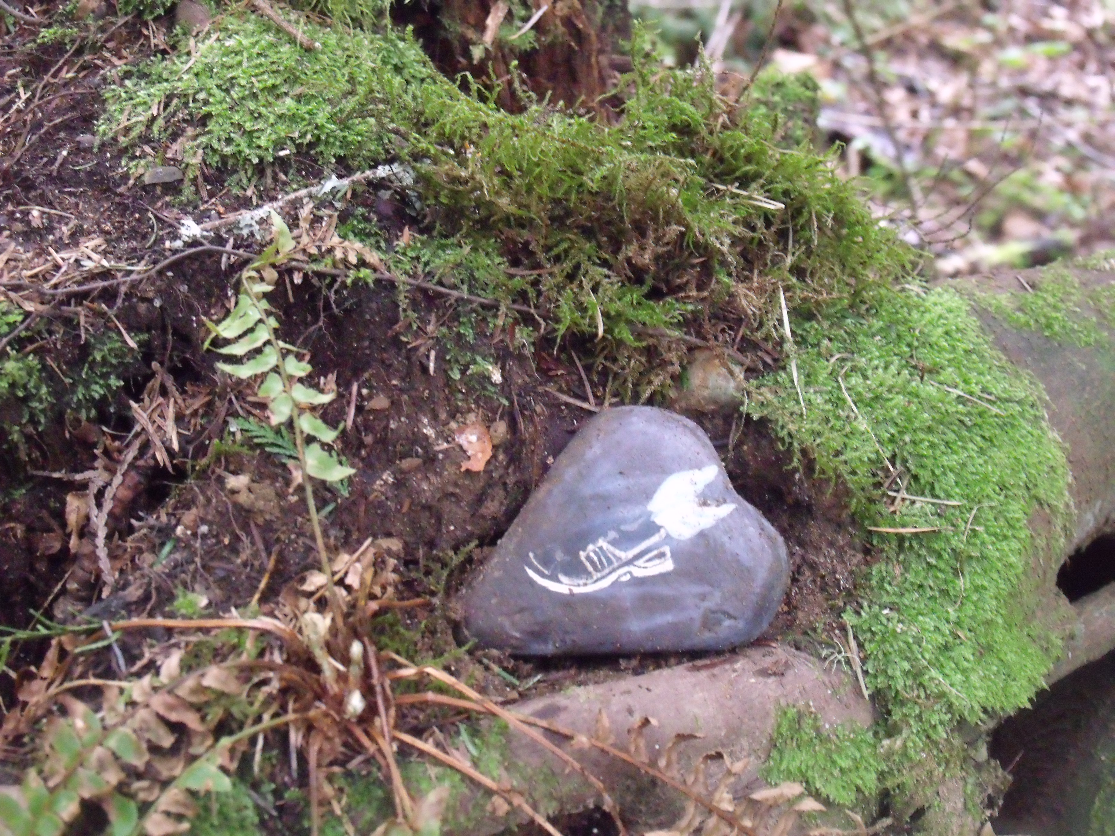 Running on Hemlock Trail