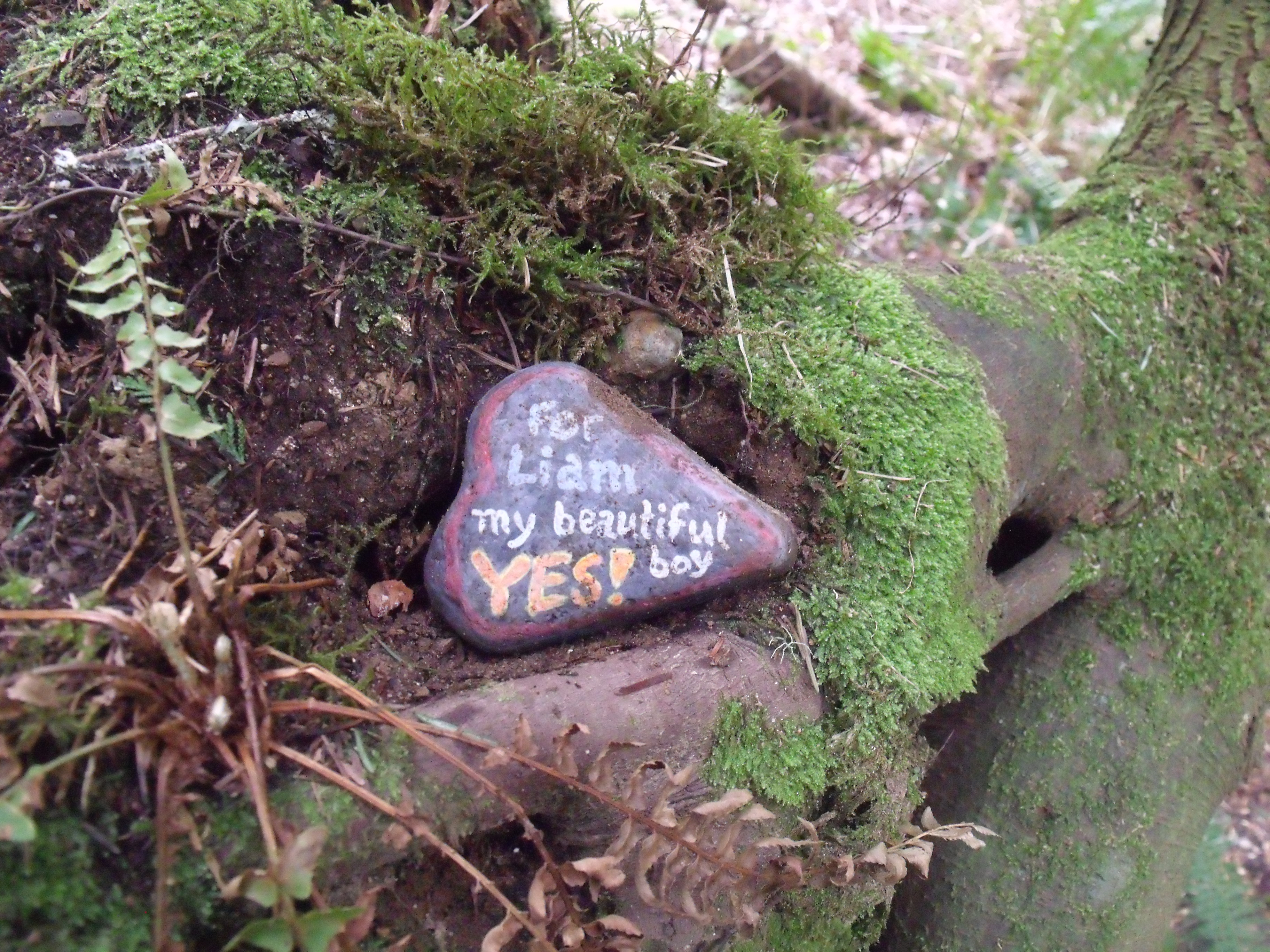 Running on Hemlock Trail