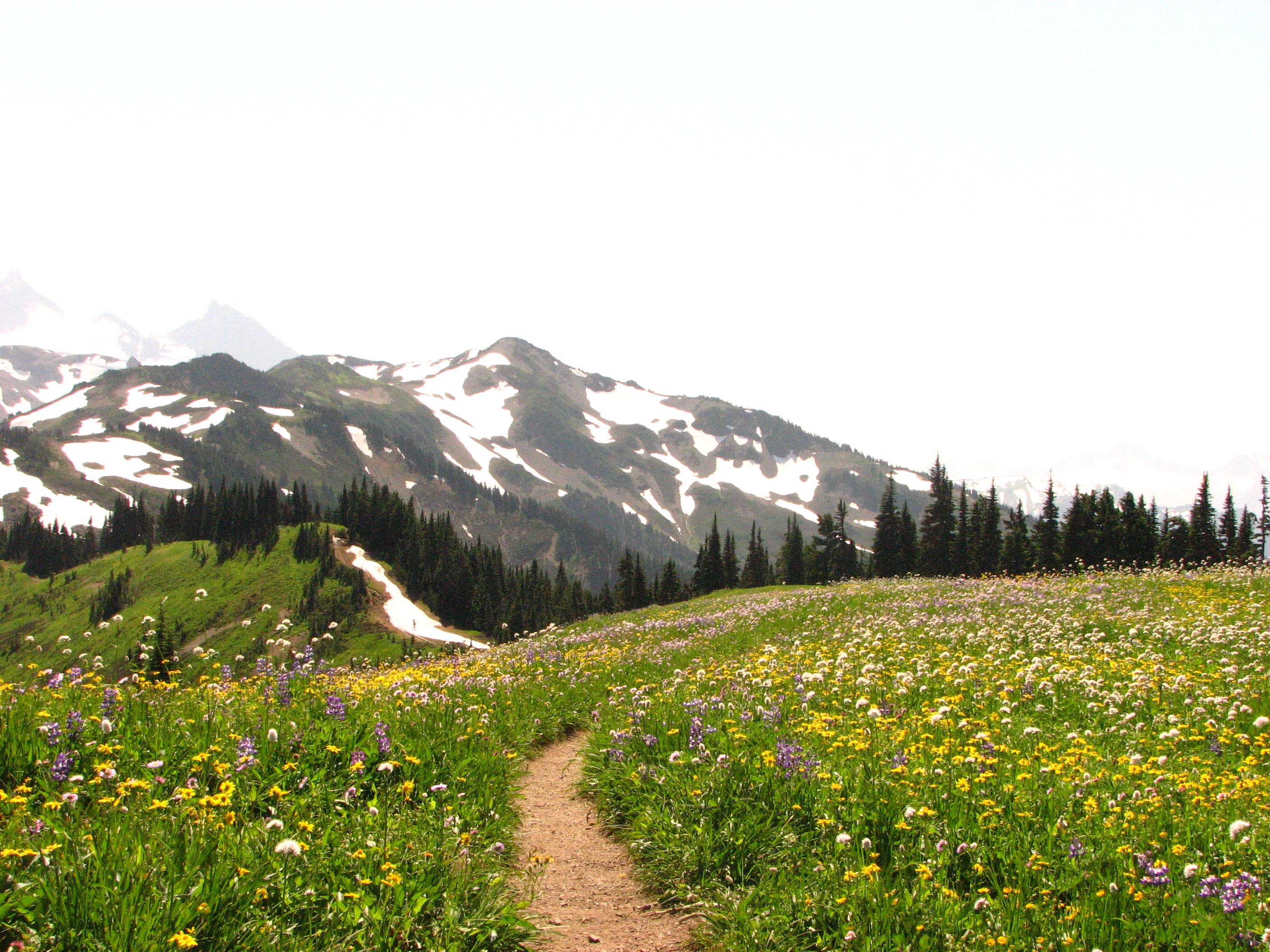Skyline Divide