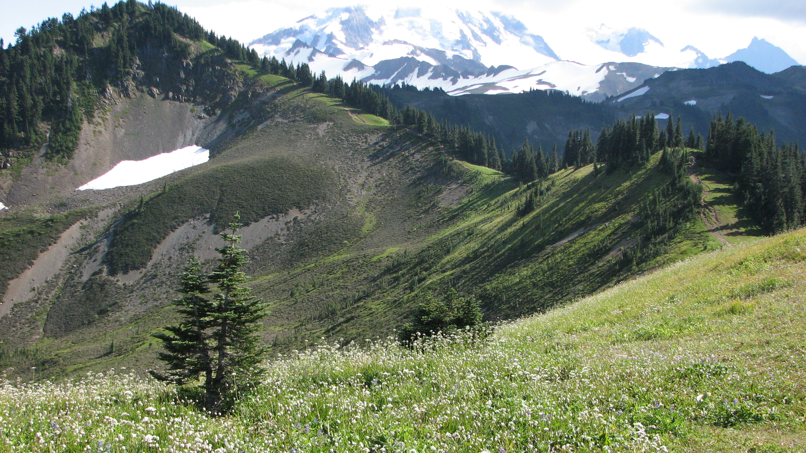 Skyline Divide