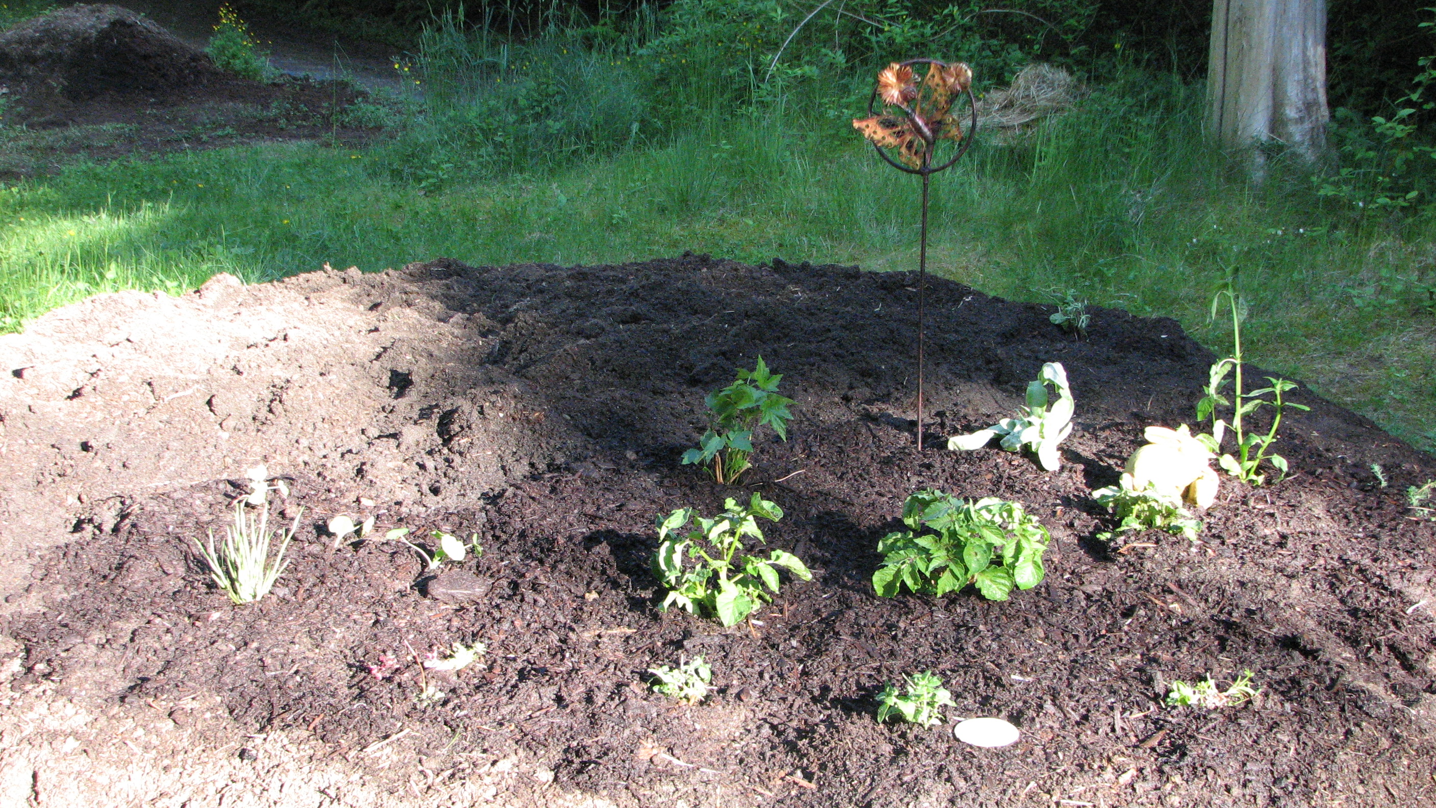 Starting the Pi Garden Spring 2012