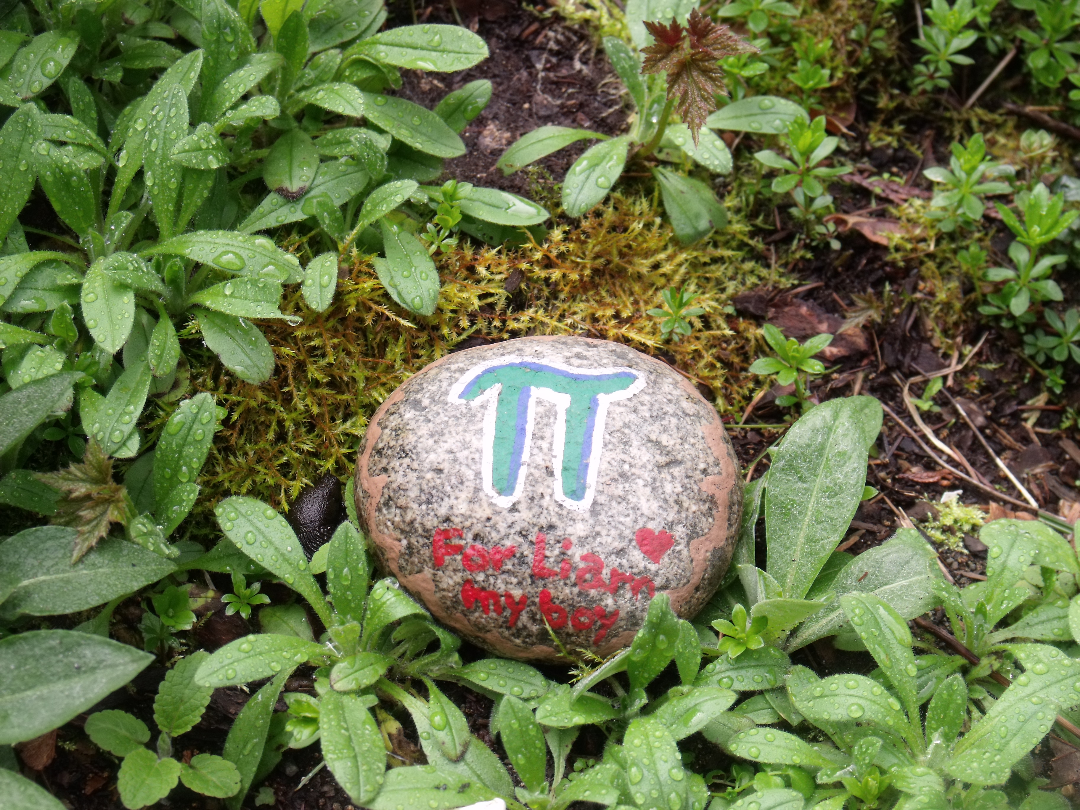 Pi Garden stone