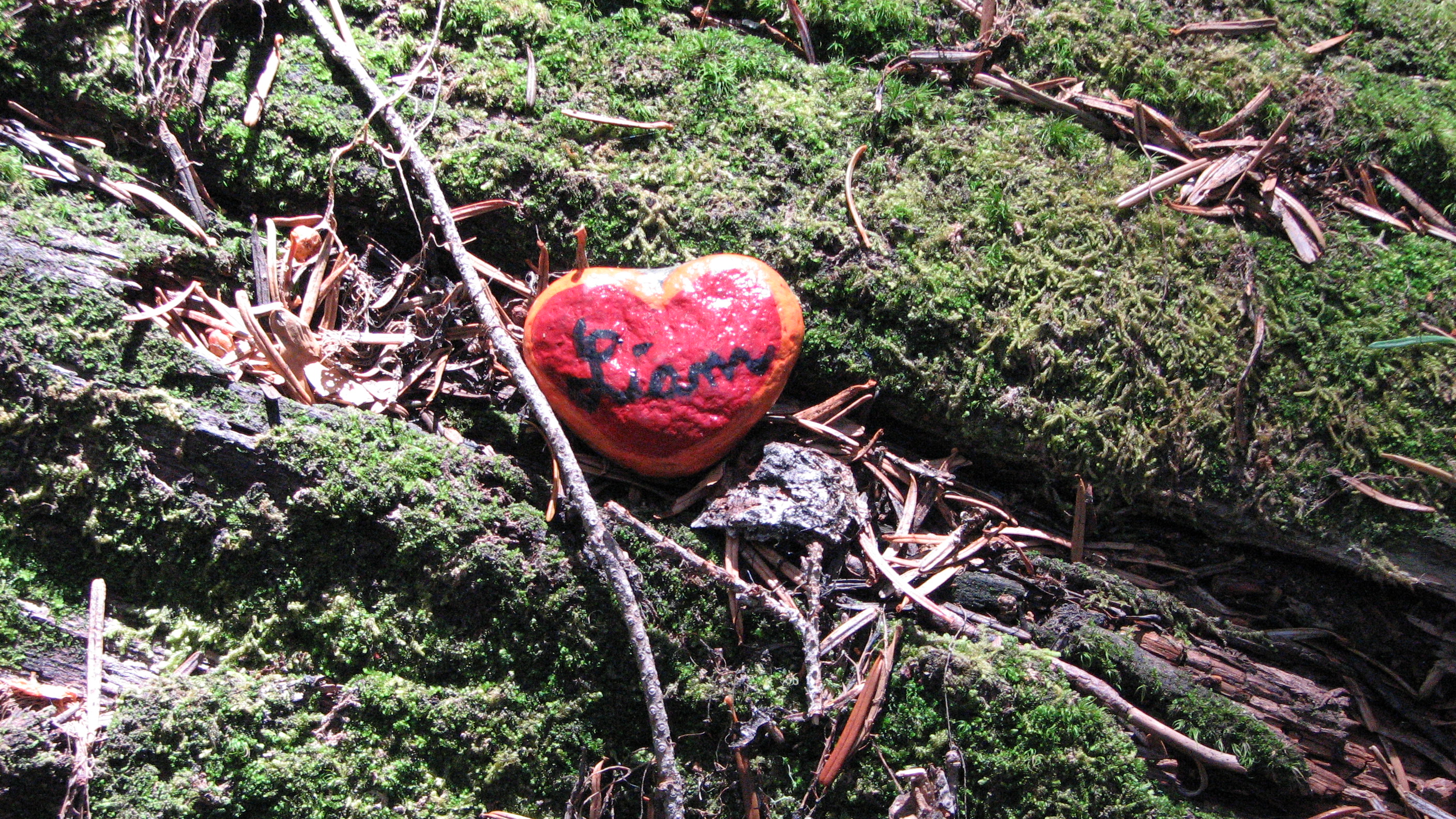 Skyline divide ♥ stone