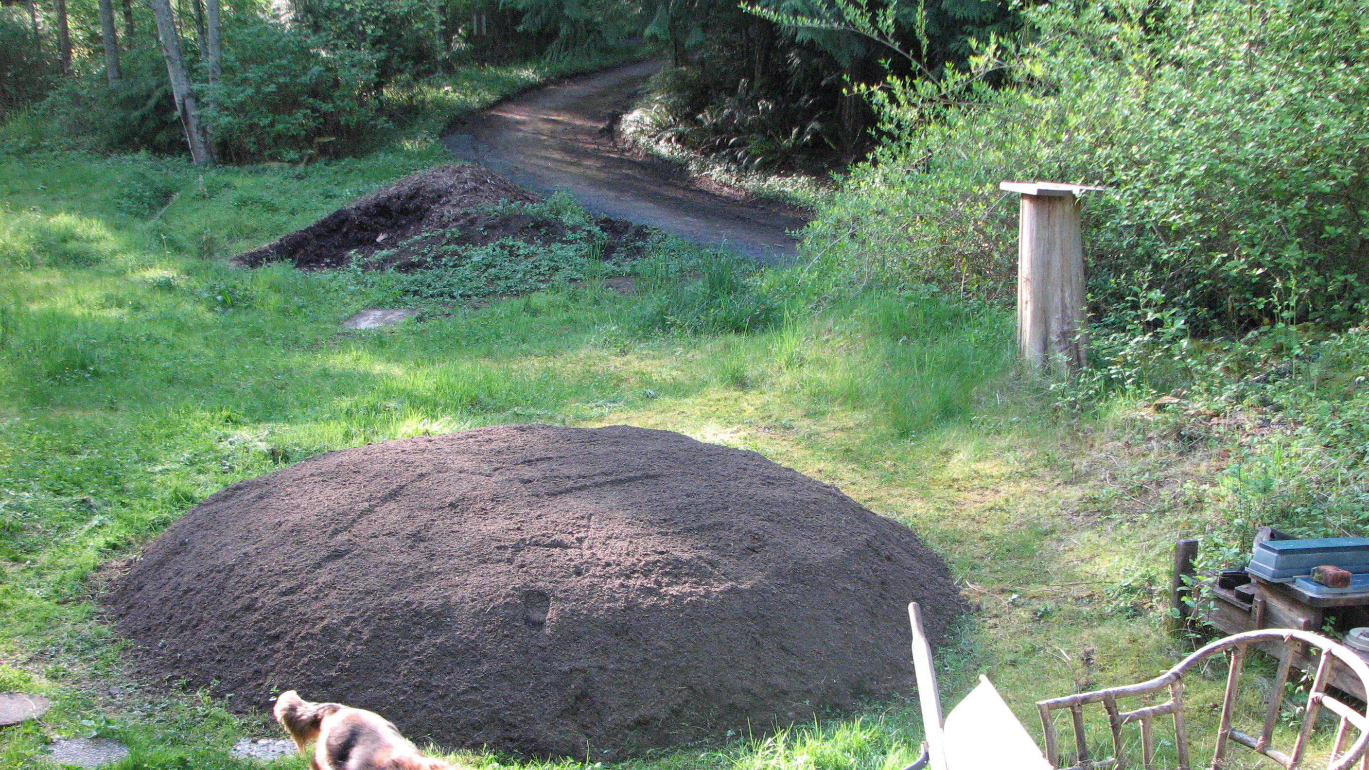 Beginning the Pi Garden